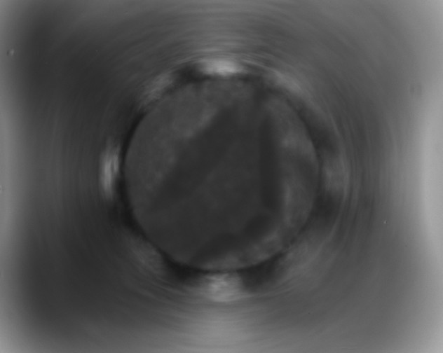 X0000088200275200705292038