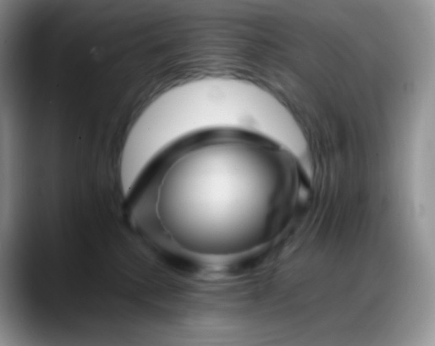 X0000088200280200705292038