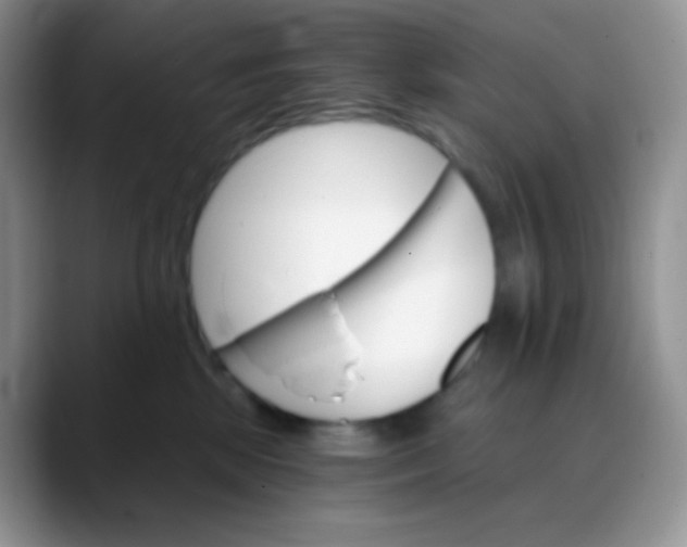 X0000088200281200705292038