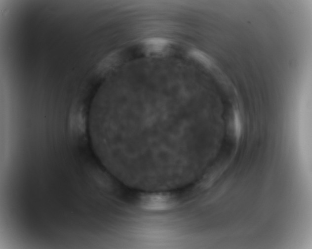 X0000088200282200705292038