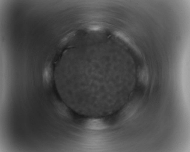 X0000088200283200705292039