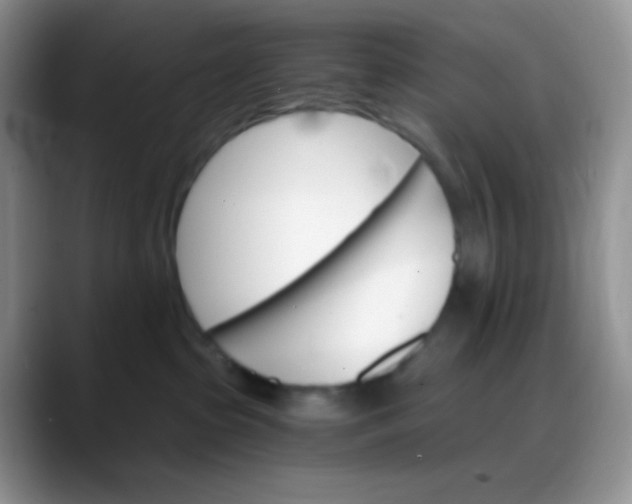 X0000088200285200705292039