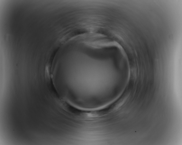 X0000088200286200705292039