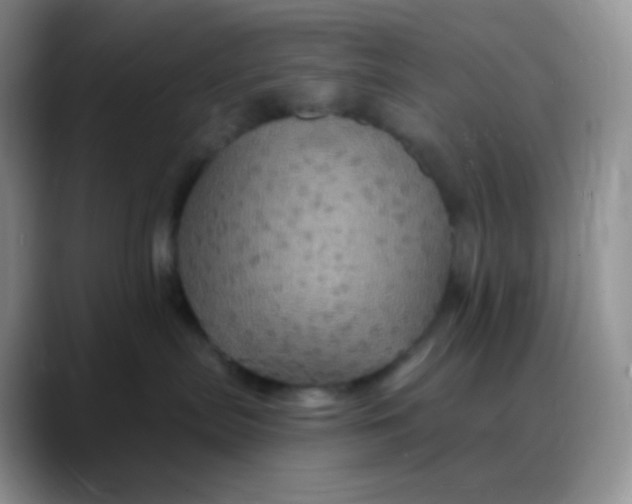 X0000088200287200705292039