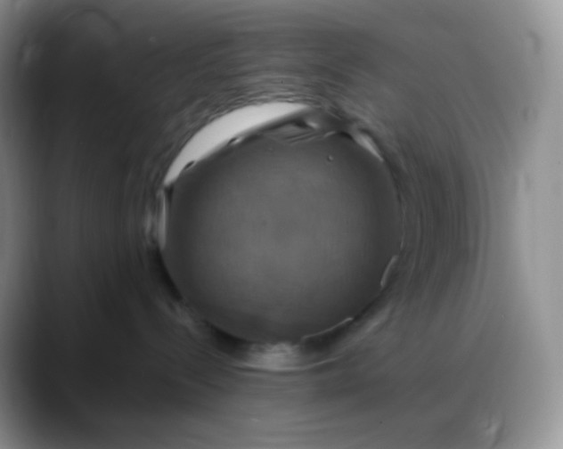 X0000088200288200705292039