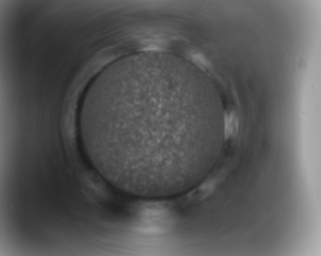 X0000088200291200705292038