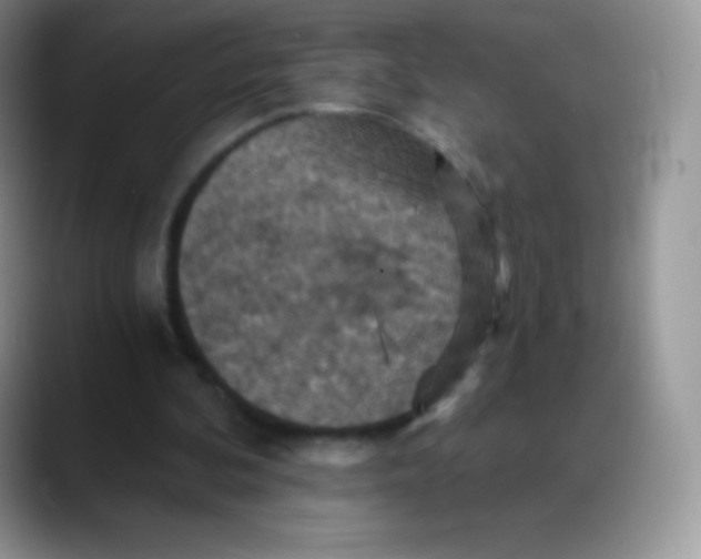 X0000088200292200705292038