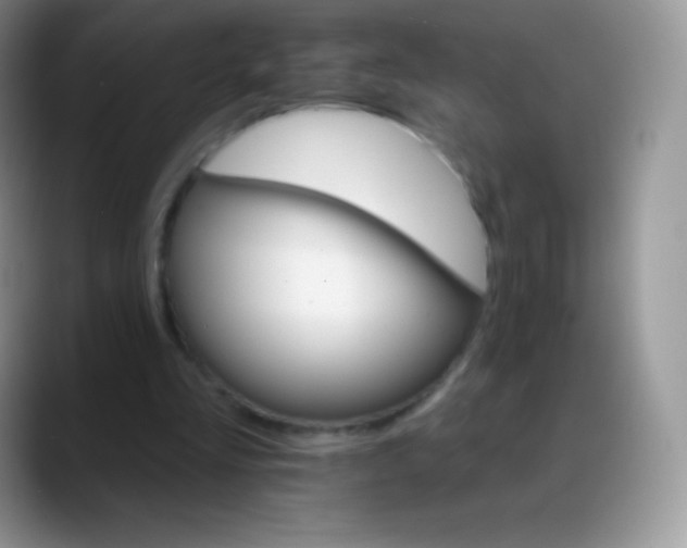 X0000088200293200705292038