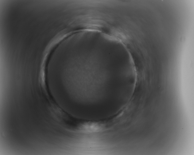 X0000088200294200705292038