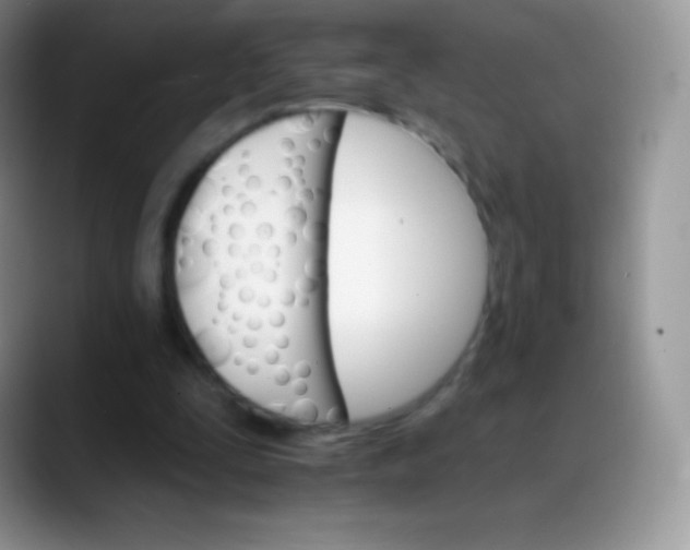 X0000088200295200705292038