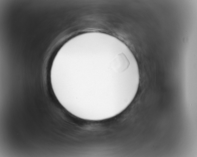 X0000088200296200705292038