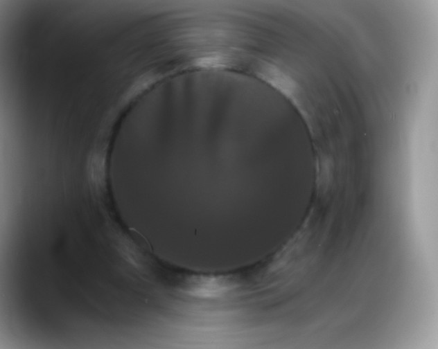 X0000088200297200705292038