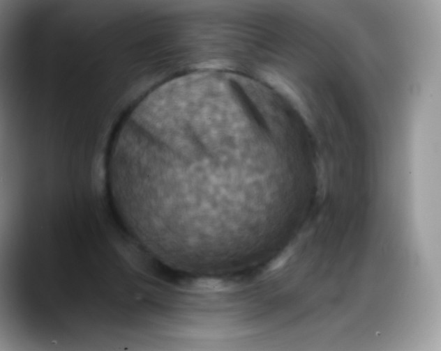 X0000088200298200705292038