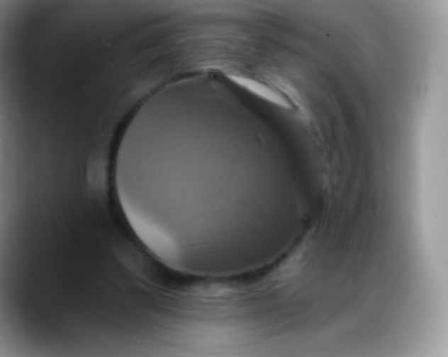 X0000088200299200705292038