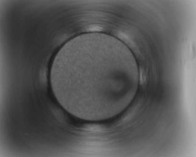 X0000088200300200705292038