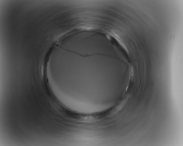 X0000088200301200705292038