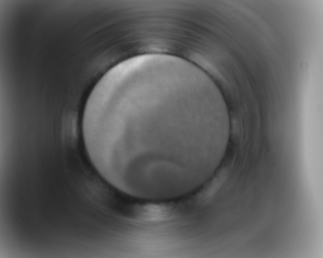 X0000088200302200705292038