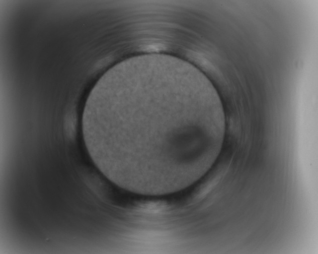 X0000088200304200705292038