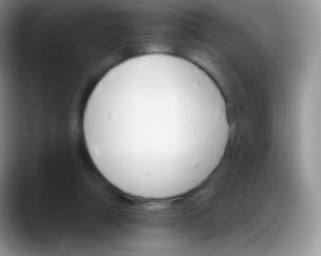 X0000088200306200705292038