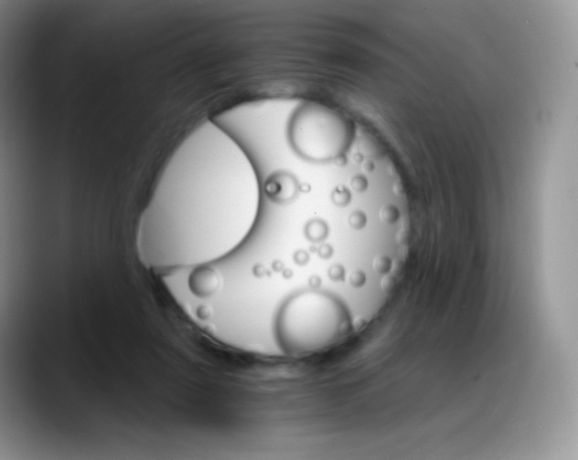 X0000088200307200705292038