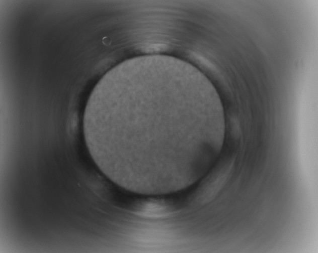 X0000088200308200705292038