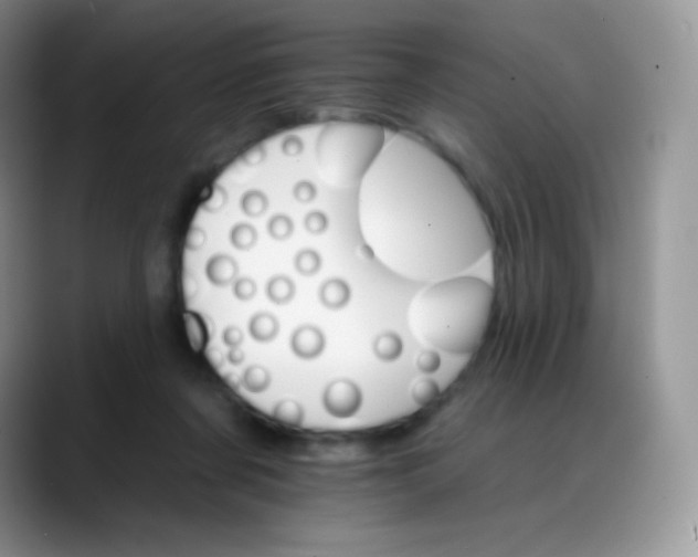 X0000088200311200705292038