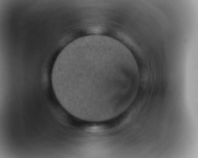 X0000088200312200705292038