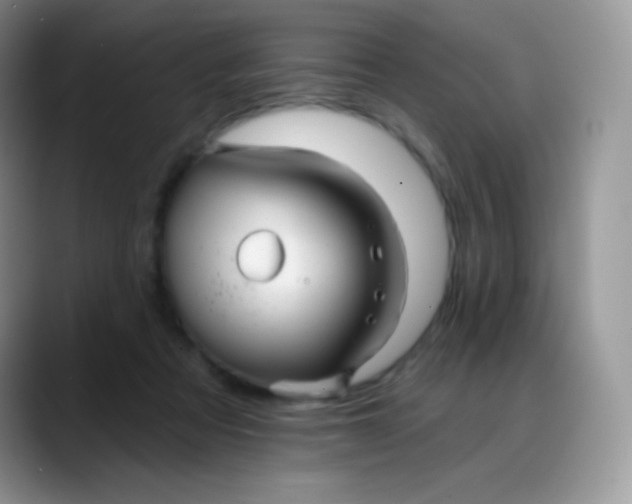 X0000088200313200705292038