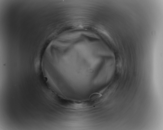 X0000088200314200705292038