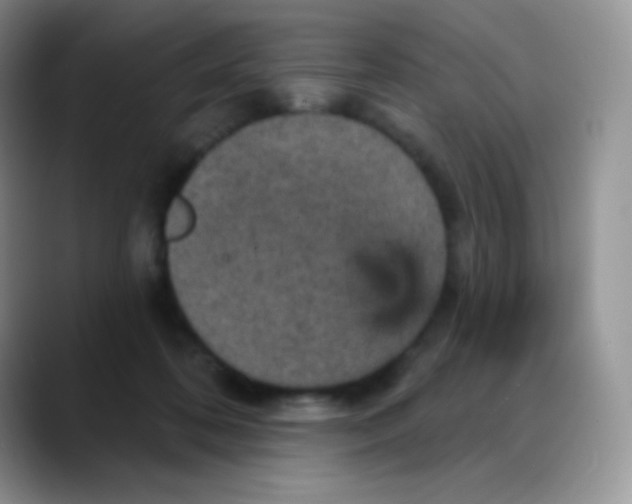 X0000088200316200705292038