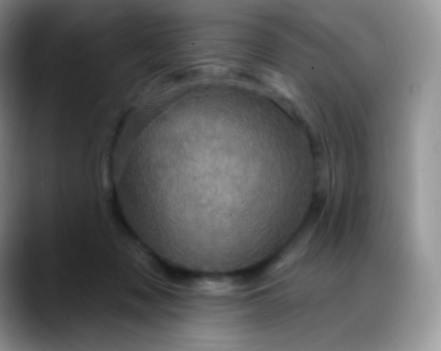 X0000088200317200705292038