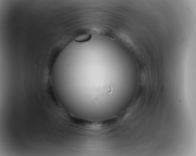 X0000088200318200705292038