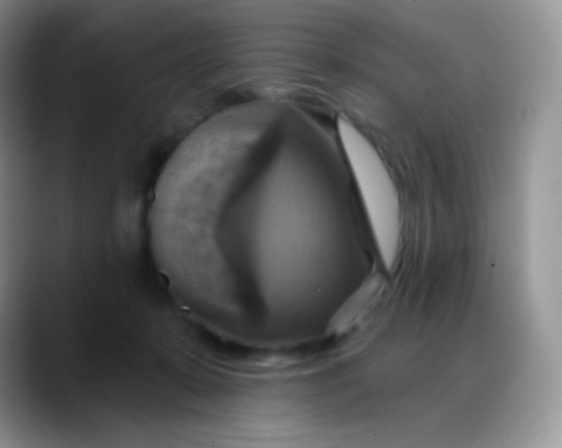 X0000088200319200705292038