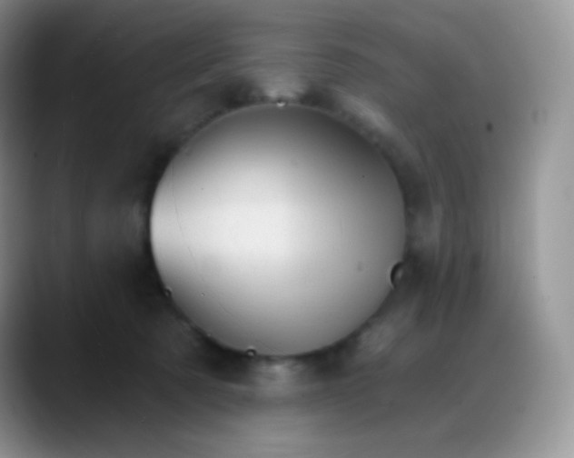 X0000088200321200705292038