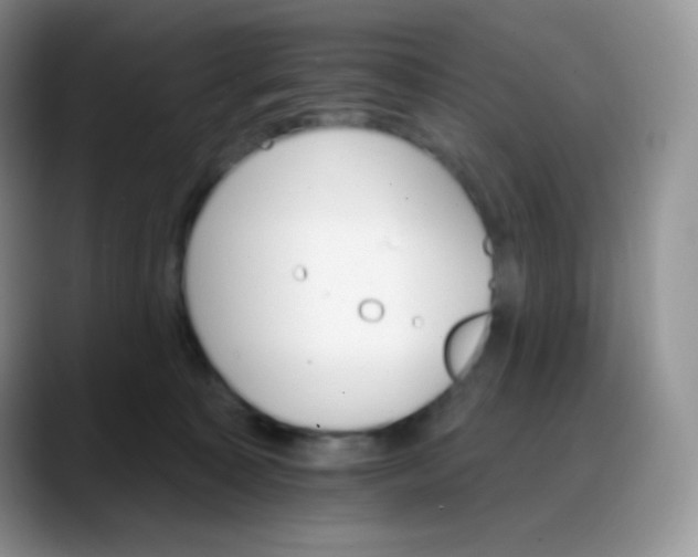 X0000088200323200705292038