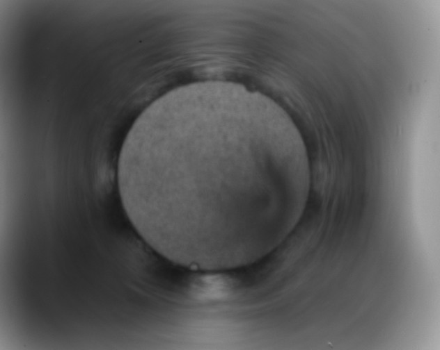 X0000088200324200705292037