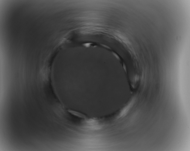 X0000088200325200705292037