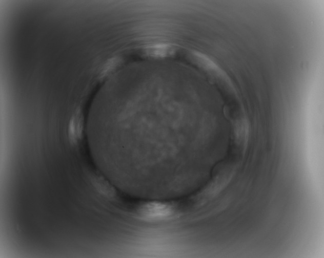 X0000088200326200705292037