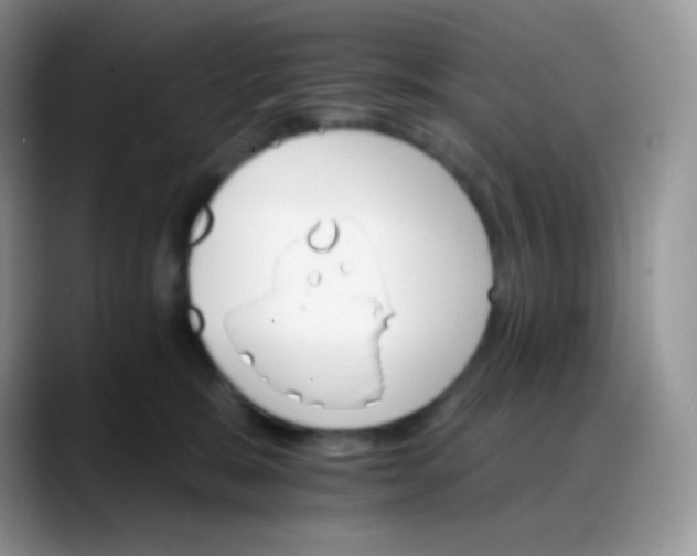 X0000088200327200705292037