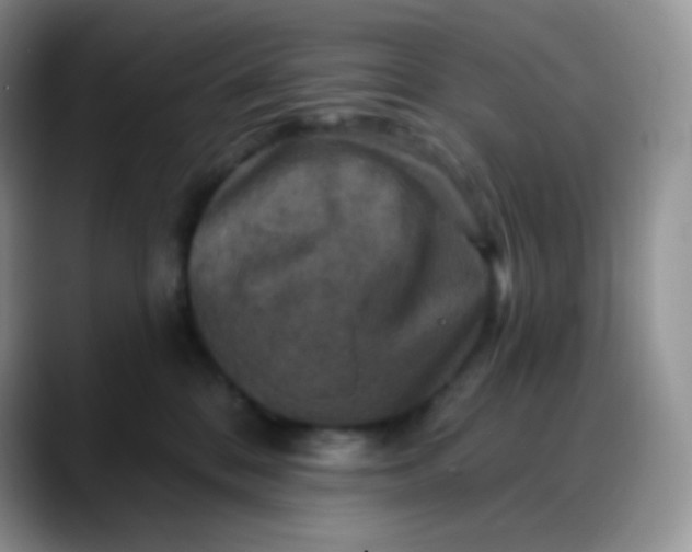 X0000088200328200705292037