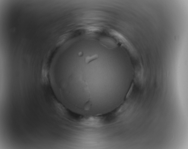 X0000088200329200705292037