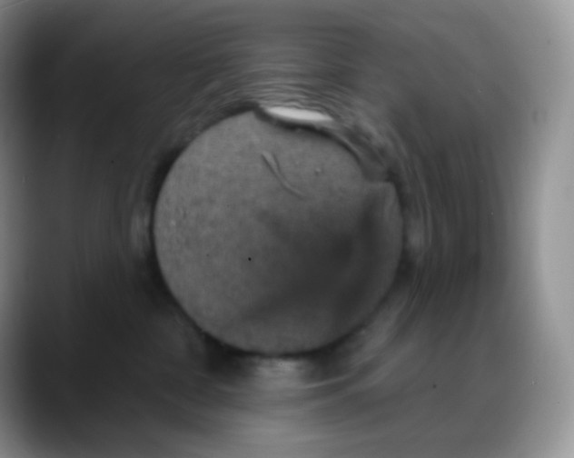 X0000088200332200705292037