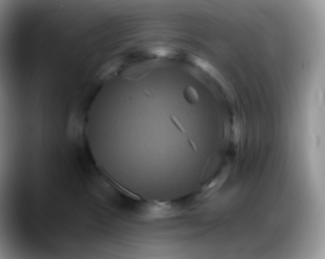 X0000088200333200705292037