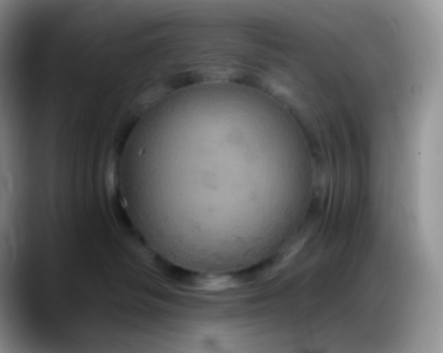 X0000088200334200705292037