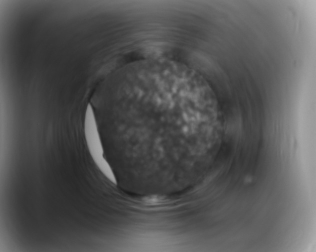 X0000088200335200705292037