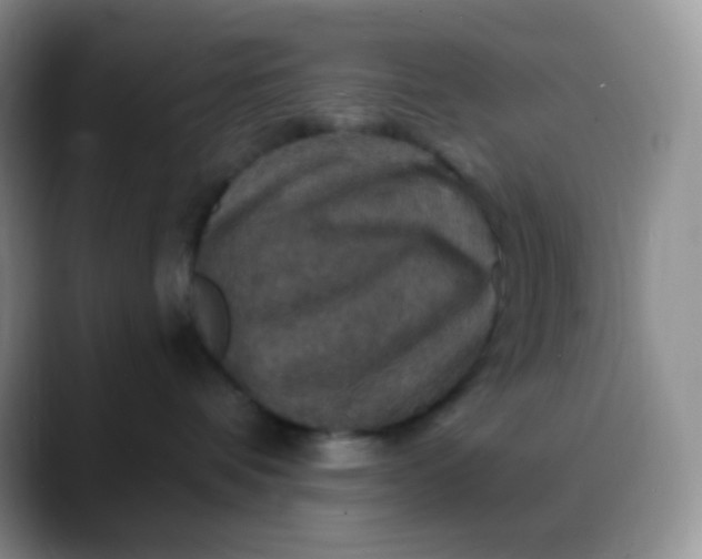 X0000088200336200705292037