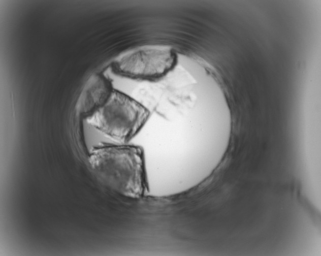 X0000088200337200705292037