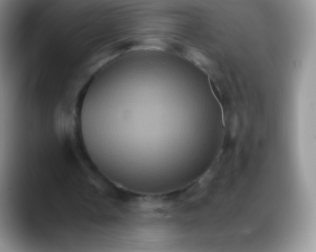 X0000088200338200705292037