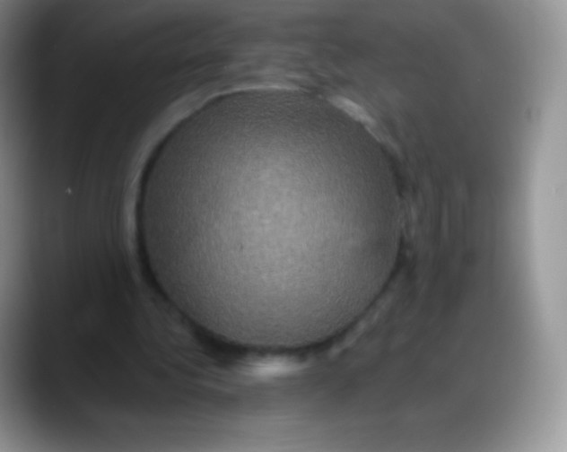 X0000088200340200705292037