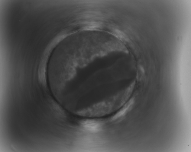 X0000088200341200705292037